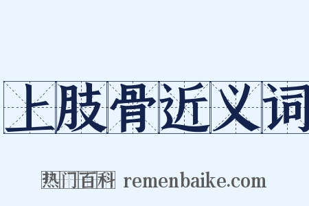 上肢骨近义词是什么意思的图片